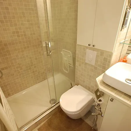 Large In Champs Elysees Area. Apartment Paris